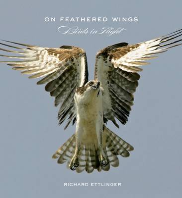 On Feathered Wings on Hardback by Richard Ettlinger