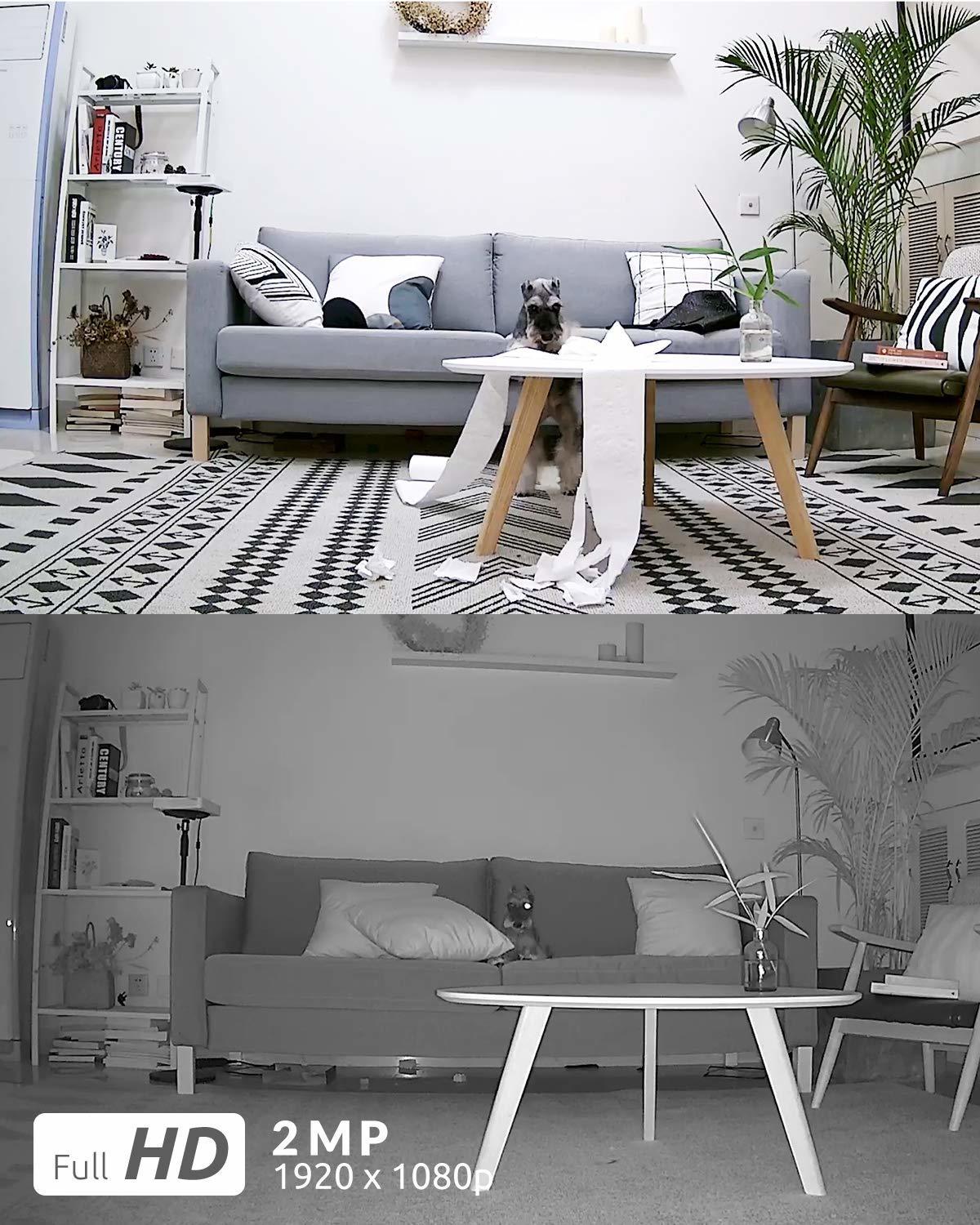 Reolink: Argus Eco Wire-Free Rechargeable Battery or Solar Powered Security Camera image