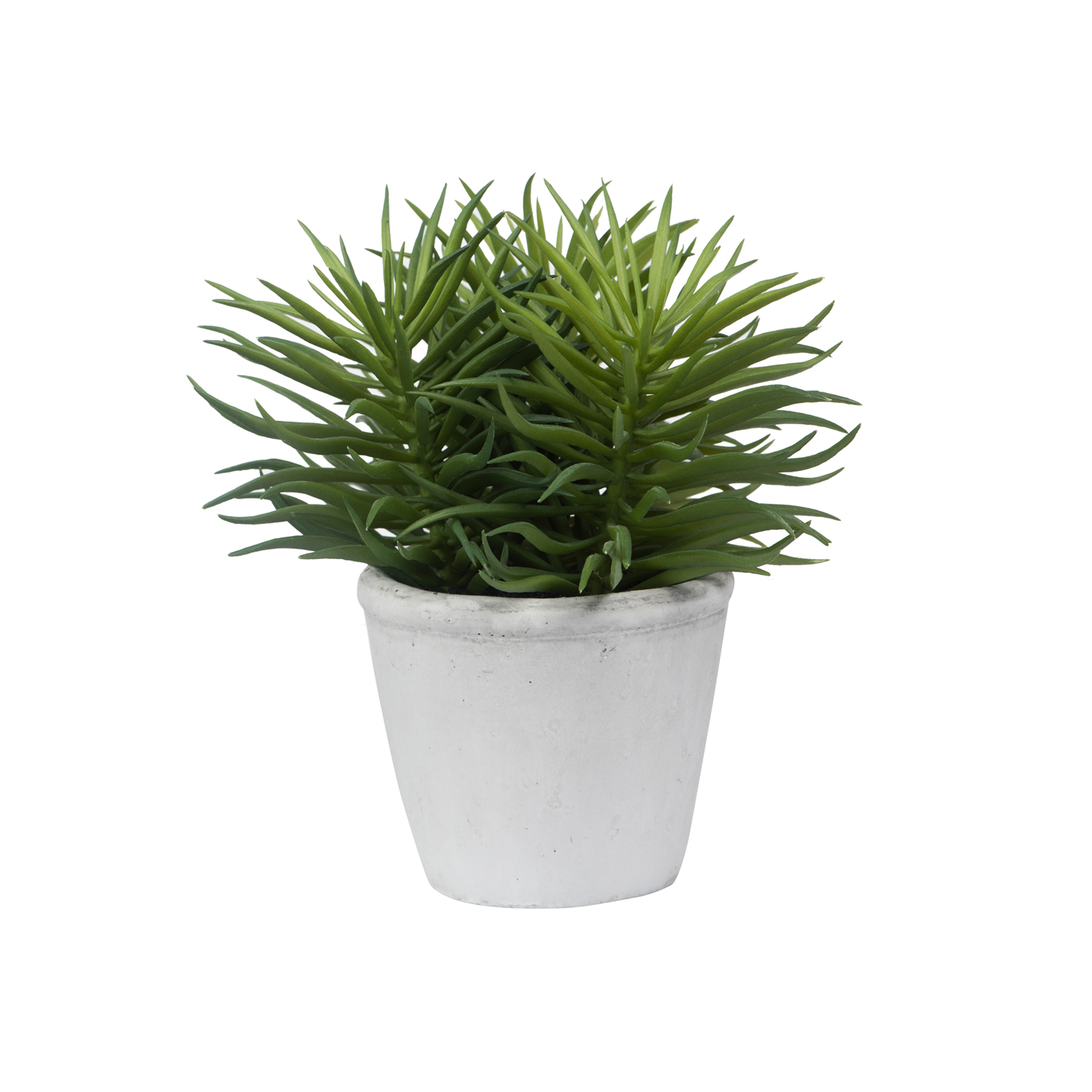 General Eclectic: Artificial Plant - Pine Needle Succulent image