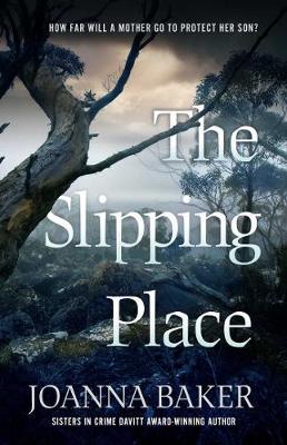 The Slipping Place image