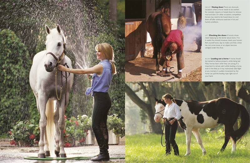 Complete Horse Care Manual on Hardback by Colin Vogel