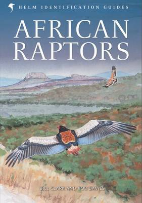 African Raptors image