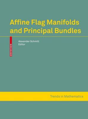 Affine Flag Manifolds and Principal Bundles on Hardback