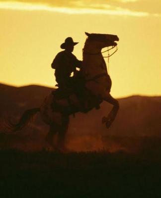 Horse Photo School Composition Book Equine Cowboy on Rearing Horse image