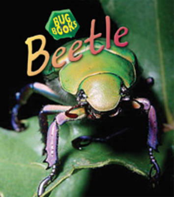 Beetle by Karen Hartley image