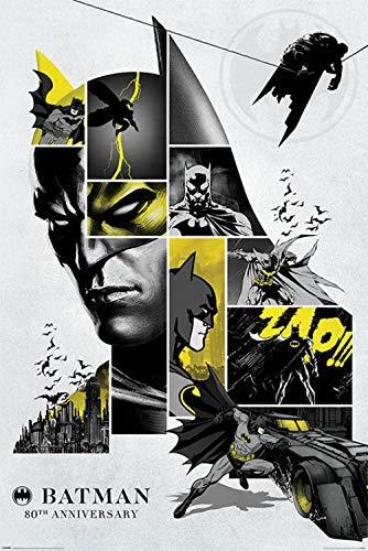 DC Comics: Maxi Poster - Batman 80th Anniversay (1030) image