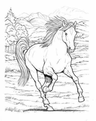 Wonderful World of Horses Coloring Book image