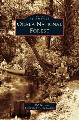 Ocala National Forest on Hardback by Rob Norman