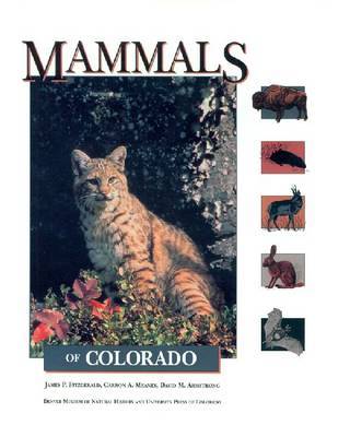 Mammals of Colorado by James P Fitzgerald image