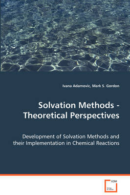 Solvation Methods - Theoretical Perspectives by Ivana Adamovic image