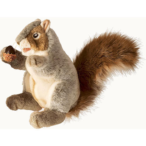 Buy Folkmanis Hand Puppet Grey Squirrel at Mighty Ape NZ