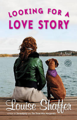 Looking for a Love Story by Louise Shaffer image