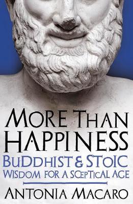 More Than Happiness by Antonia Macaro image