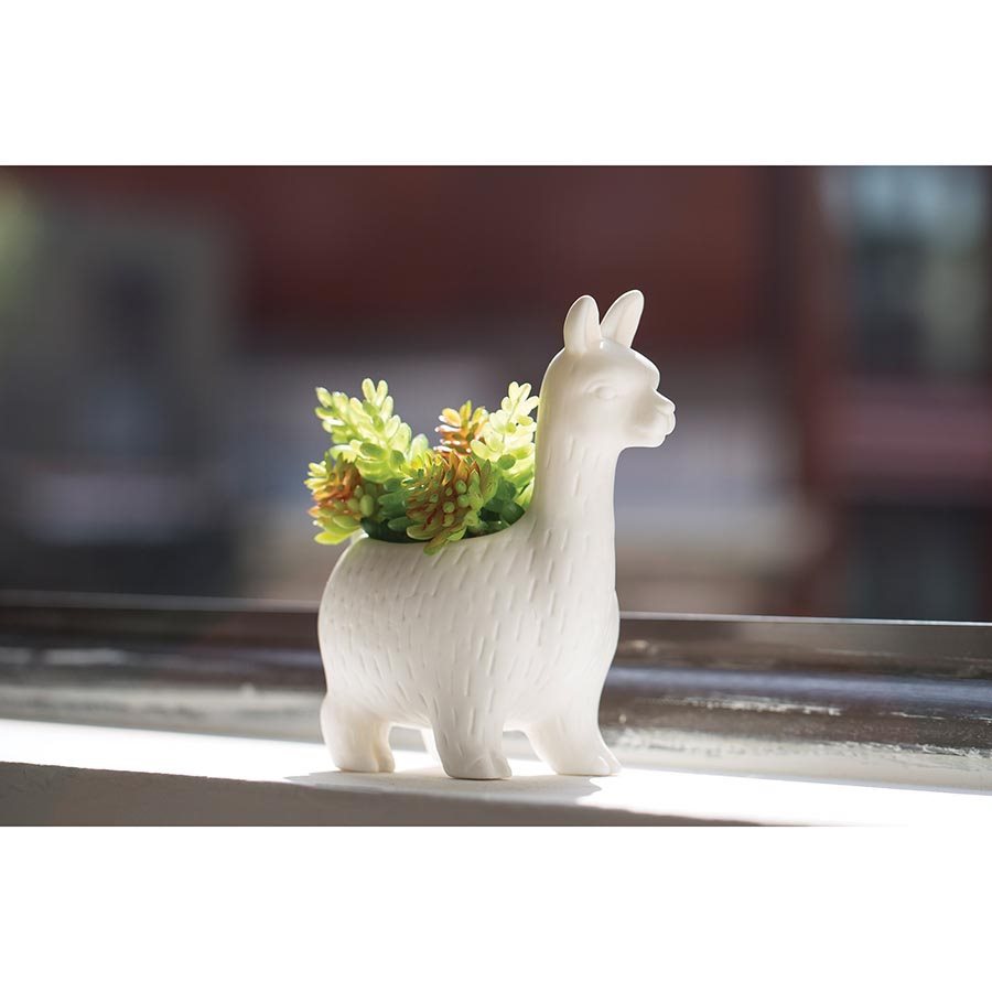 Kikkerland: Lloyd the Llama Planter