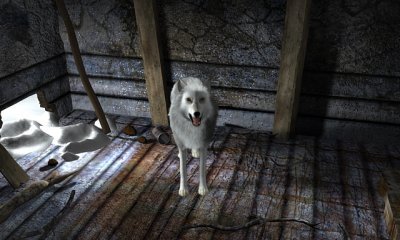 Nancy Drew The White Wolf of Icicle Creek for PC Games image