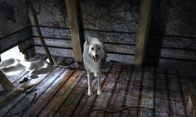 Nancy Drew The White Wolf of Icicle Creek image