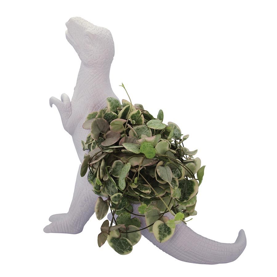 Bitten: T-Rex Planter