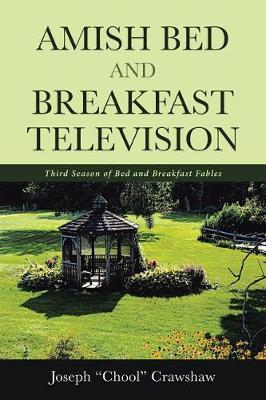 Amish Bed and Breakfast Television by Joe Crawshaw image