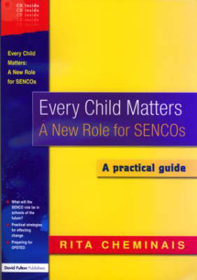 Every Child Matters by Rita Cheminais image