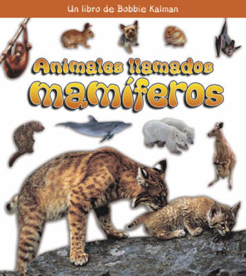 Animales Llamados Mamiferos by Bobbie Kalman image