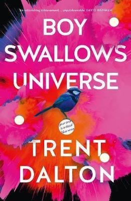 Boy Swallows Universe by Trent Dalton image