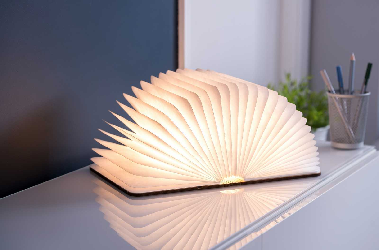 Ginko Walnut Large Smart Led Light Book