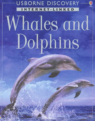 Discovery Program: Dolphins and Whales by Susannah Davidson image