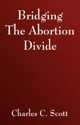 Bridging the Abortion Divide image