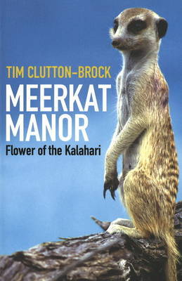 Meerkat Manor by Tim Clutton-Brock image