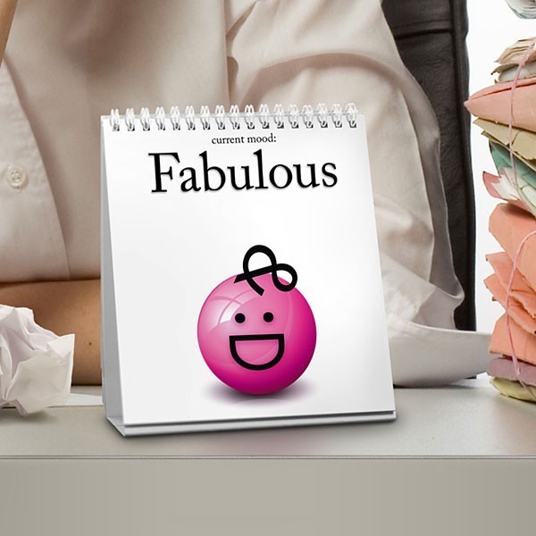 The Daily Mood Flipchart image