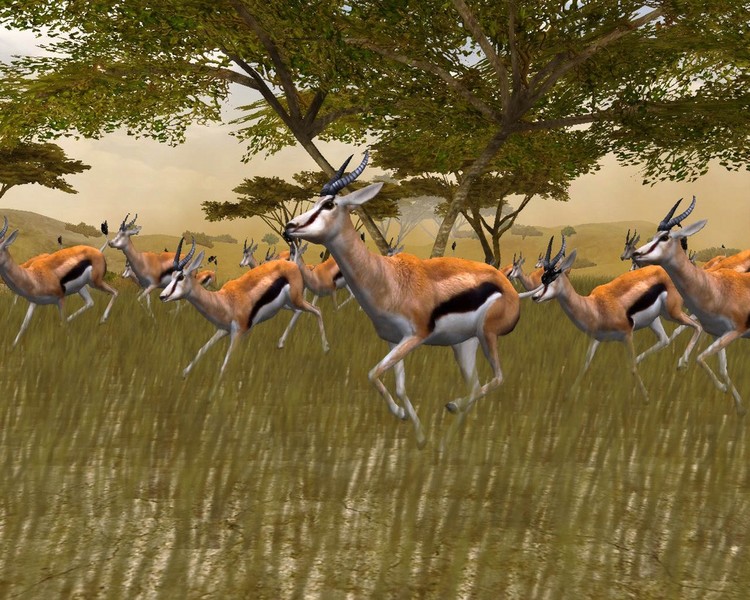 Cabela's African Safari for PlayStation 2 image