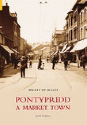 Pontypridd by Anne Powell image