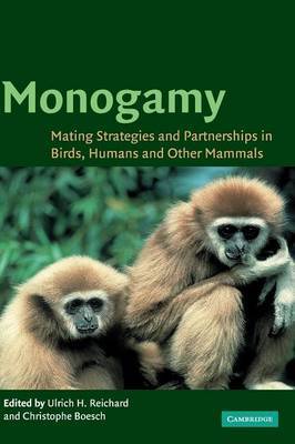 Monogamy image