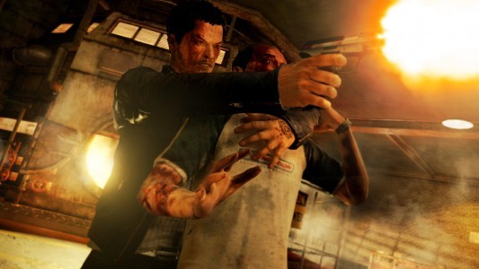 Sleeping Dogs Limited Edition for PC image