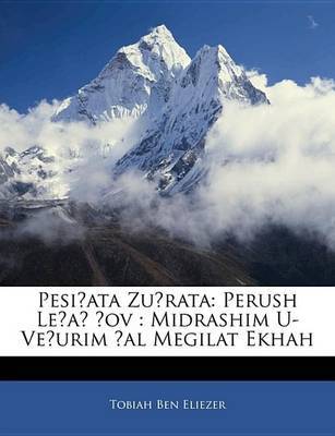 Pesiata Zurata: Perush Lea --Ov: Midrashim U-Veurim Al Megilat Ekhah on Paperback by Tobiah Ben Eliezer