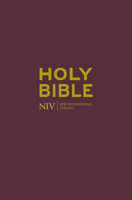 NIV Pocket Bible Flexibind - Burgundy image