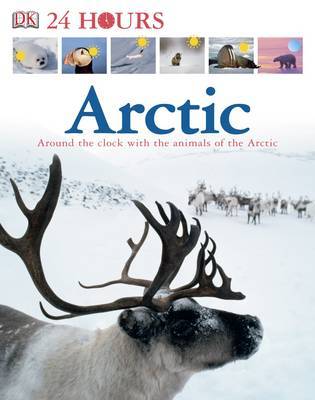 Arctic image