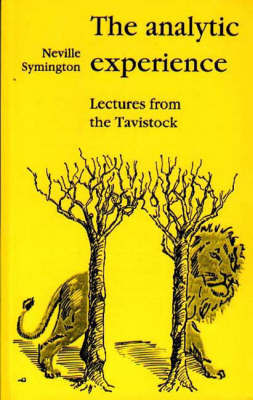 The Analytic Experience by Neville Symington image