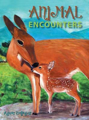 Animal Encounters by Agnes Bellegris image