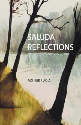 Saluda Reflections by Arthur Turfa image