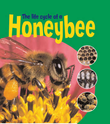 Honeybee by Ruth Thomson image