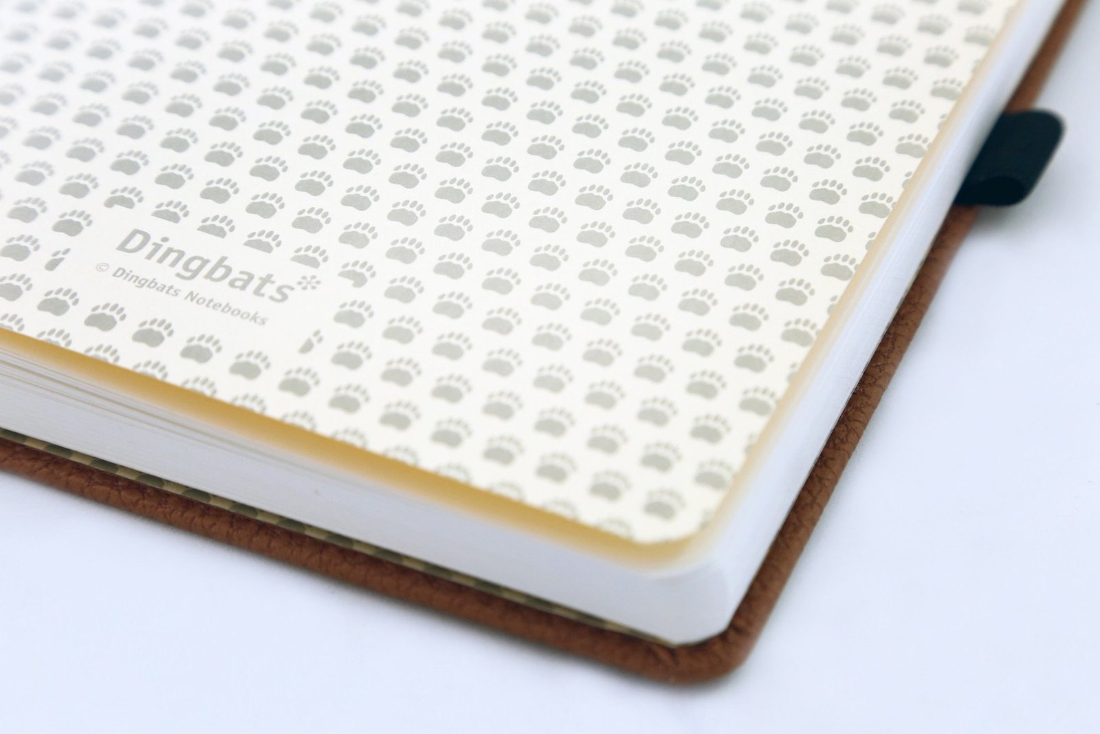 Buy Dingbats: Wildlife - Brown Bear Notebook at Mighty Ape NZ