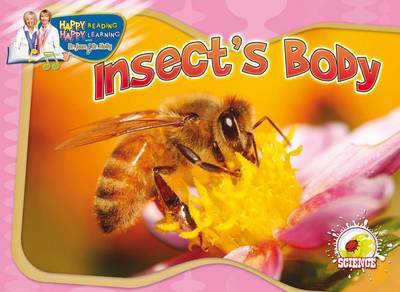 Insect's Body by Dr Jean Feldman image
