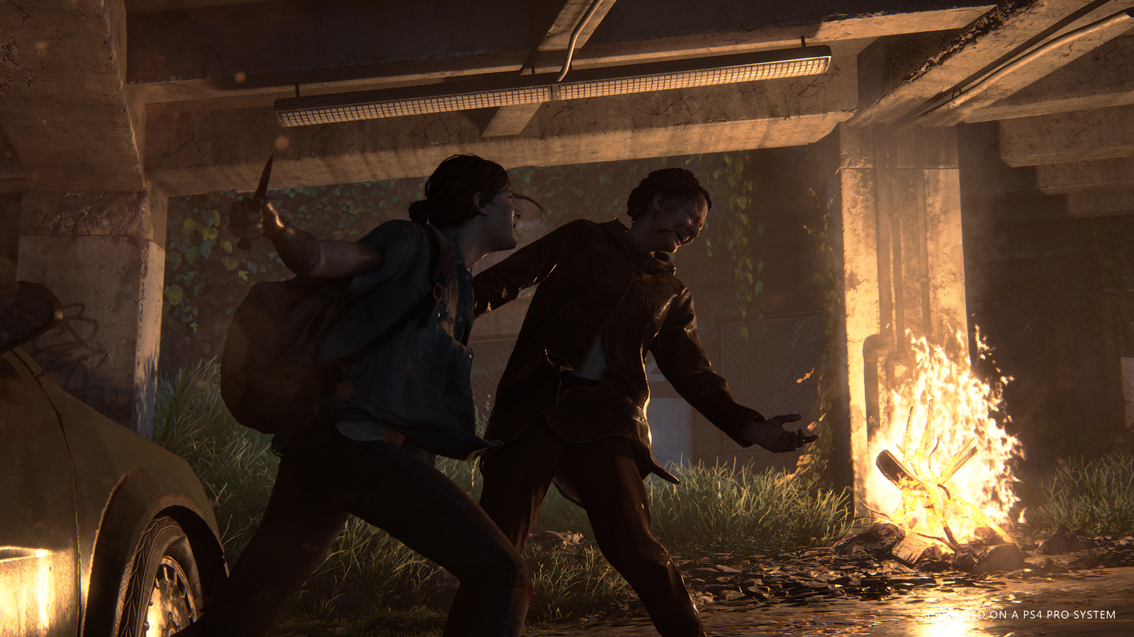 The Last of Us II for PS4 image