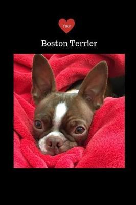 Love your Boston Terrier Journal by Tammie Chrin