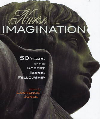 Nurse to the Imagination image