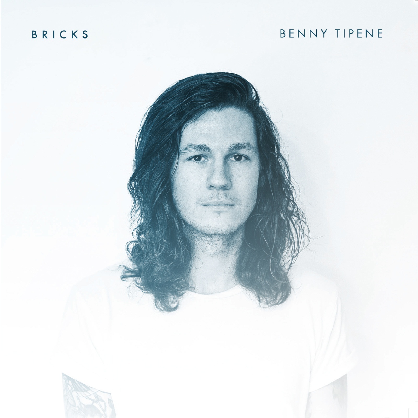 Bricks by Benny Tipene image