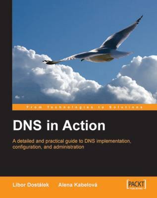 DNS in Action by Alena Kabelova