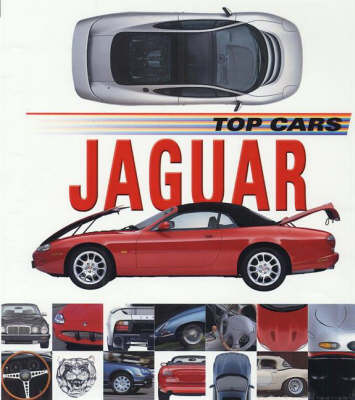 Jaguar on Hardback by Lee Stacy