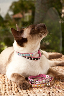 Rufus & Coco Diamante Cat Collar - silver